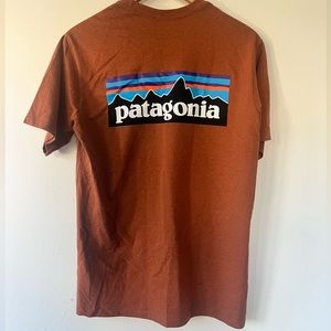 Burnt Orange Patagonia T-shirt
